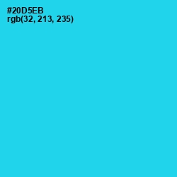 #20D5EB - Bright Turquoise Color Image