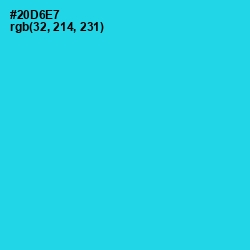 #20D6E7 - Bright Turquoise Color Image