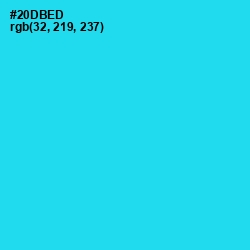 #20DBED - Bright Turquoise Color Image