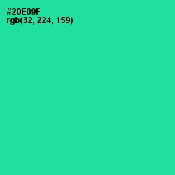 #20E09F - Shamrock Color Image