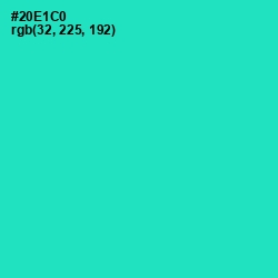 #20E1C0 - Turquoise Color Image
