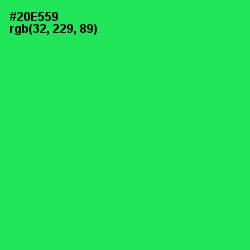 #20E559 - Malachite Color Image