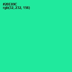 #20E89C - Shamrock Color Image