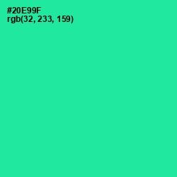 #20E99F - Shamrock Color Image