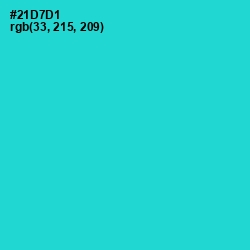 #21D7D1 - Turquoise Color Image