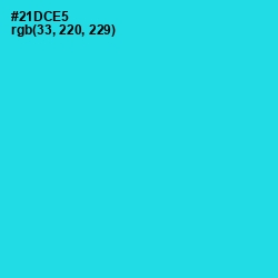 #21DCE5 - Bright Turquoise Color Image