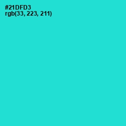 #21DFD3 - Turquoise Color Image
