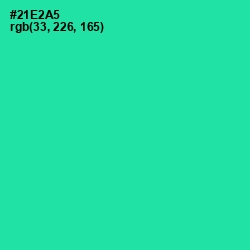 #21E2A5 - Shamrock Color Image