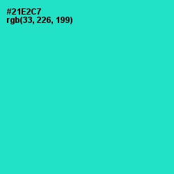 #21E2C7 - Turquoise Color Image