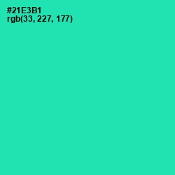 #21E3B1 - Shamrock Color Image