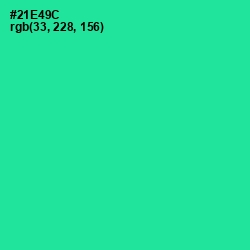 #21E49C - Shamrock Color Image