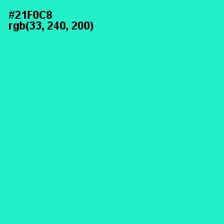 #21F0C8 - Turquoise Color Image