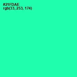 #21FDAE - Shamrock Color Image