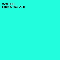 #21FDDD - Bright Turquoise Color Image