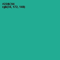 #22AC94 - Jungle Green Color Image