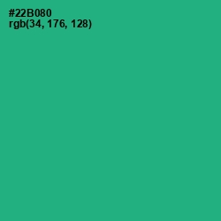#22B080 - Jungle Green Color Image
