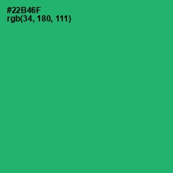 #22B46F - Jade Color Image