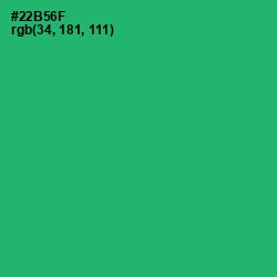 #22B56F - Jade Color Image