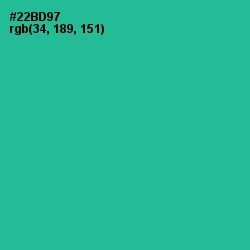 #22BD97 - Jungle Green Color Image