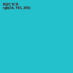#22C1CB - Turquoise Color Image