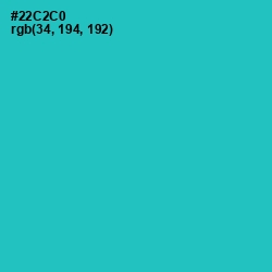 #22C2C0 - Turquoise Color Image