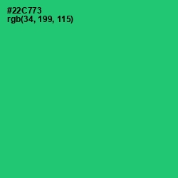 #22C773 - Malachite Color Image