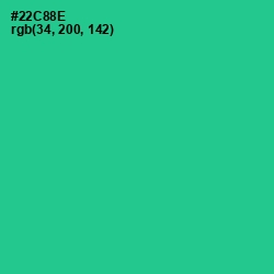 #22C88E - Shamrock Color Image