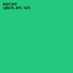 #22C97F - Malachite Color Image