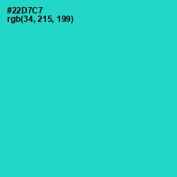 #22D7C7 - Turquoise Color Image