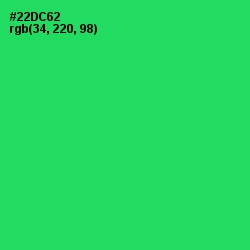 #22DC62 - Malachite Color Image