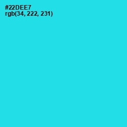 #22DEE7 - Bright Turquoise Color Image