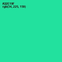 #22E19F - Shamrock Color Image