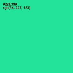 #22E399 - Shamrock Color Image