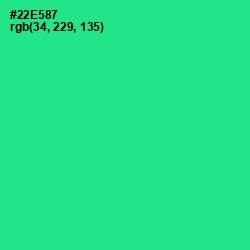 #22E587 - Shamrock Color Image