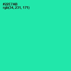 #22E7AB - Shamrock Color Image