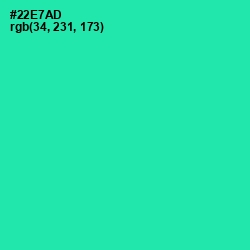 #22E7AD - Shamrock Color Image