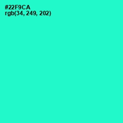 #22F9CA - Bright Turquoise Color Image