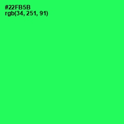 #22FB5B - Malachite Color Image