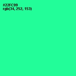 #22FC99 - Shamrock Color Image