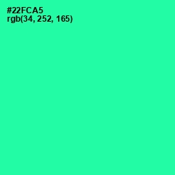 #22FCA5 - Shamrock Color Image