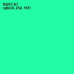 #22FCA7 - Shamrock Color Image