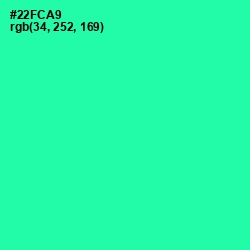 #22FCA9 - Shamrock Color Image