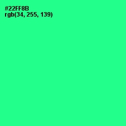 #22FF8B - Shamrock Color Image