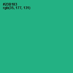 #23B183 - Jungle Green Color Image
