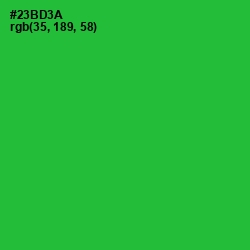 #23BD3A - Forest Green Color Image