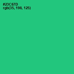 #23C67D - Malachite Color Image