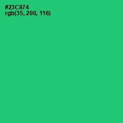 #23C874 - Malachite Color Image