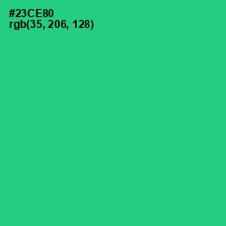 #23CE80 - Shamrock Color Image