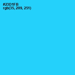 #23D1FB - Bright Turquoise Color Image