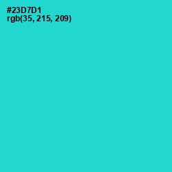 #23D7D1 - Turquoise Color Image